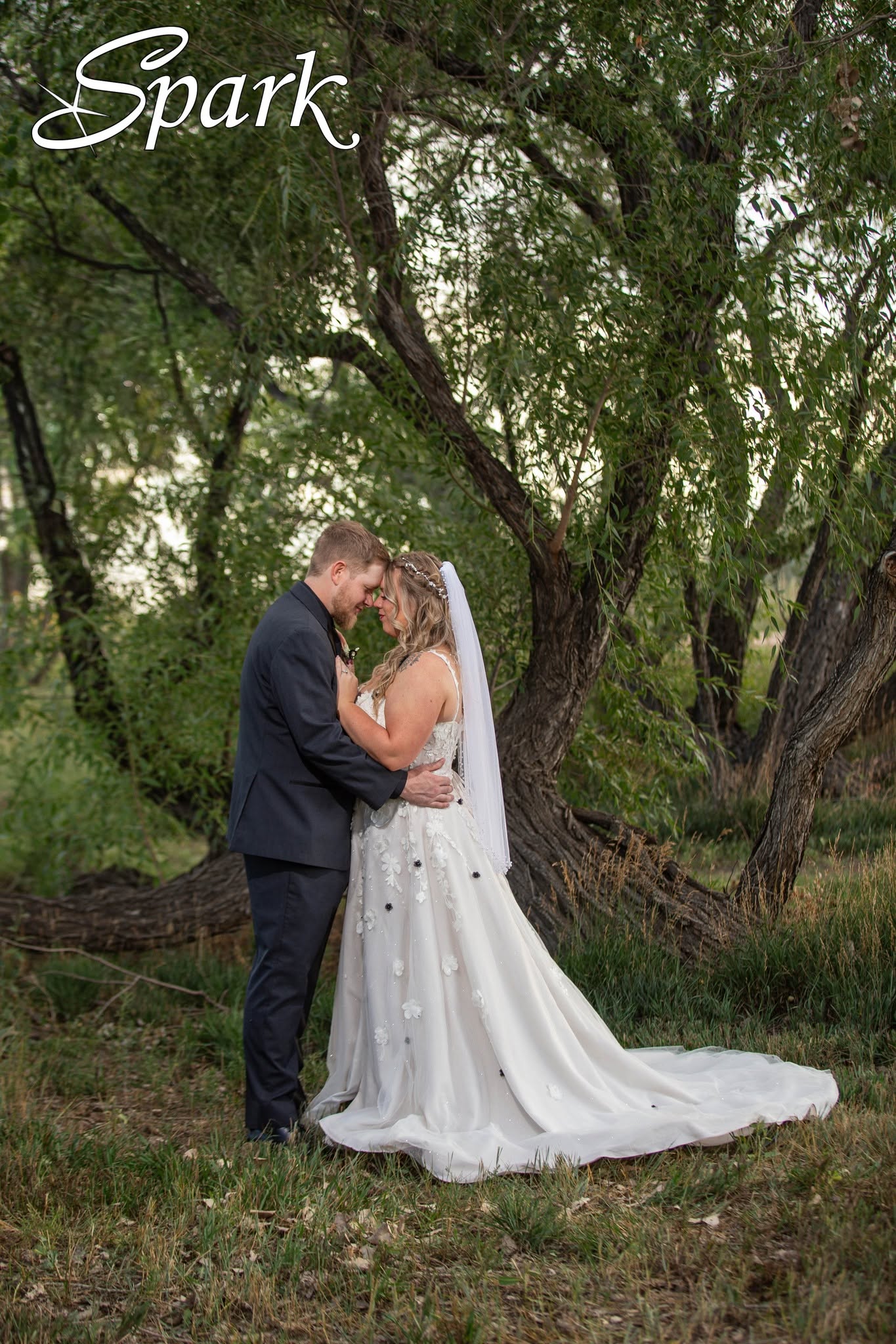 Bride and groom embracing beneath leafy trees
