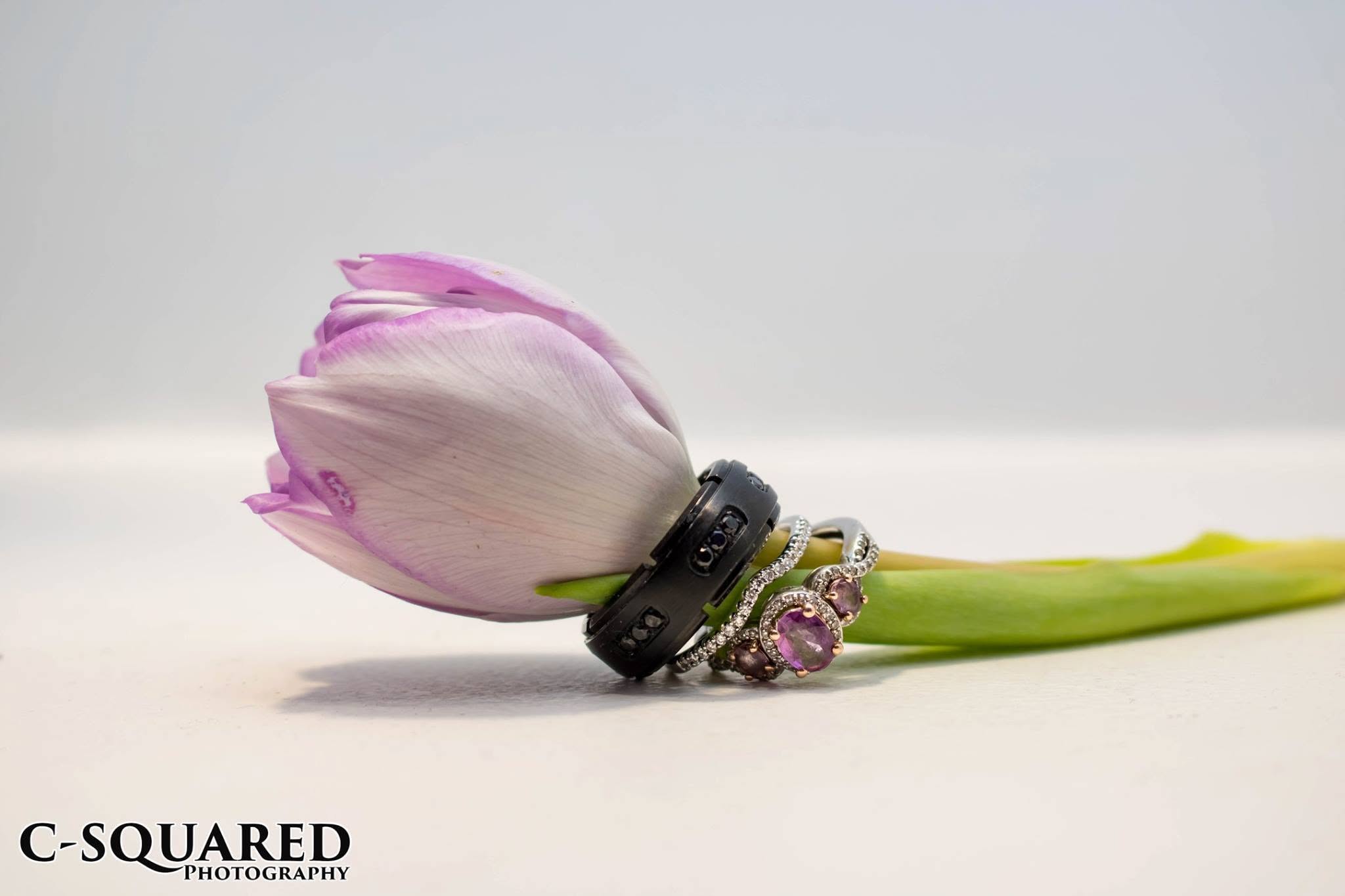 Wedding rings arranged on a pale purple tulip